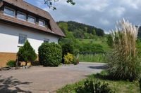 Haus mit Blick zum Berg - Ferienwohnung Schwarzwald-Traum.de