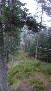 Fahrt mit der Zipline durch die B&auml;ume im Schwarzwald